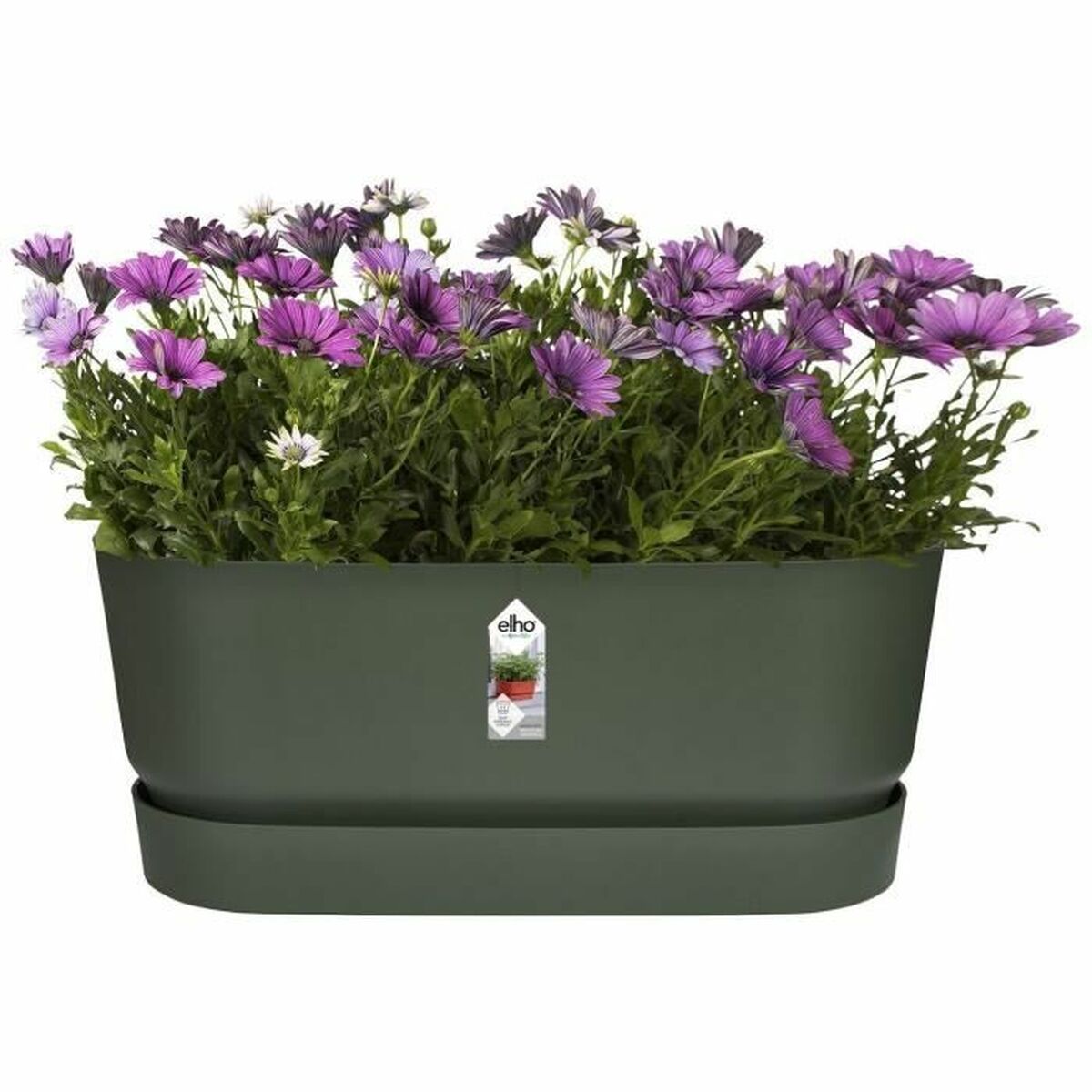 Vaso rettangolare da Balcone Elho   60 cm Verde Plastica Ovalada