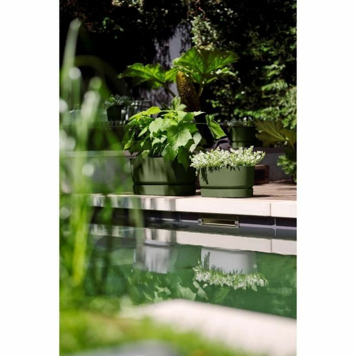 Vaso rettangolare da Balcone Elho   60 cm Verde Plastica Ovalada