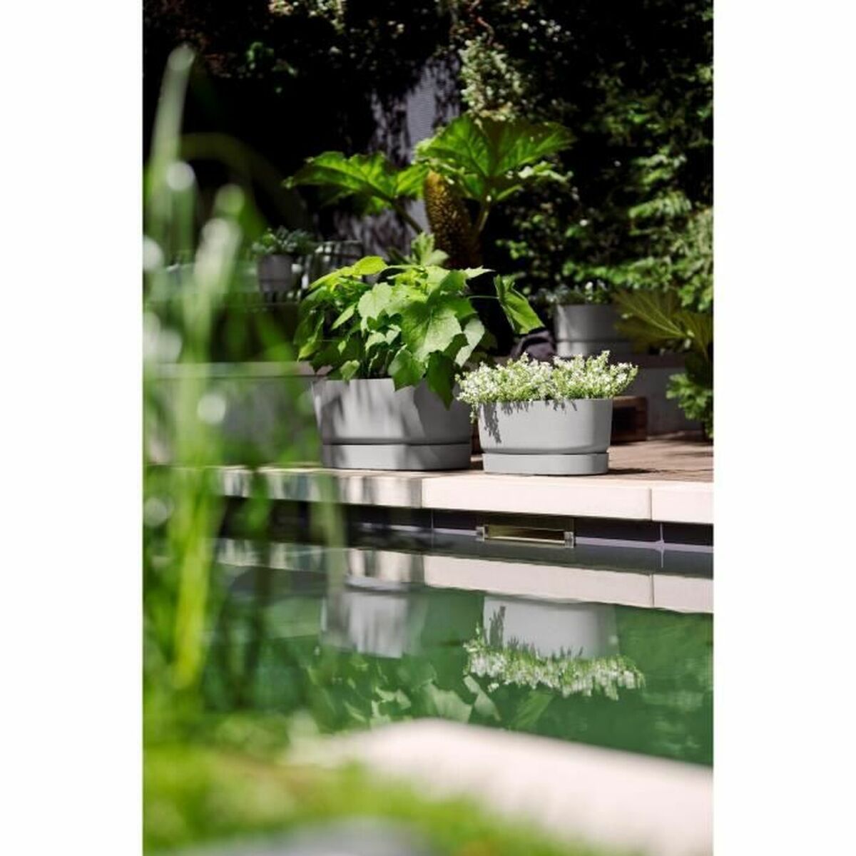 Vaso rettangolare da Balcone Elho   Grigio 60 cm Plastica Ovalada