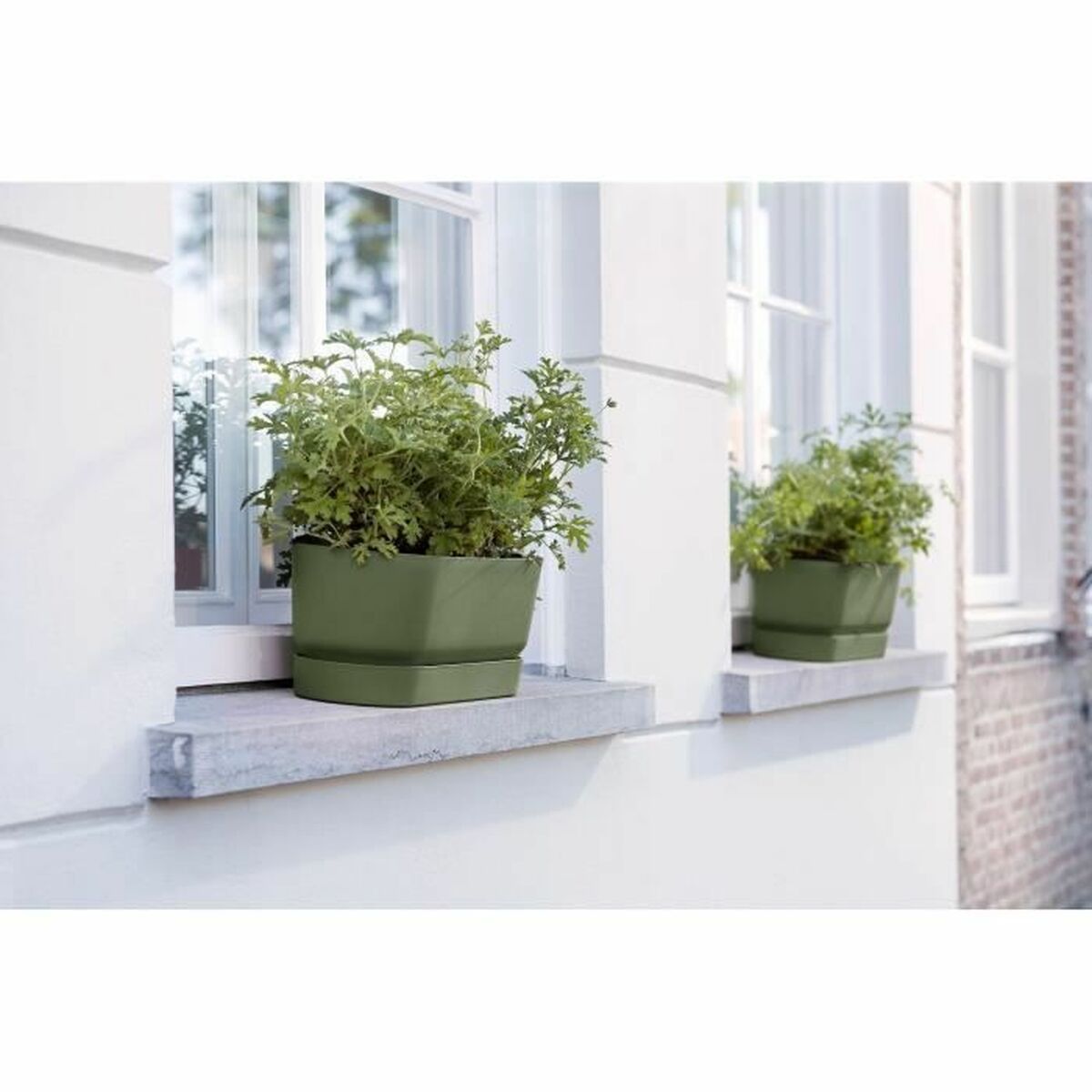 Vaso rettangolare da Balcone Elho   50 cm Nero Plastica Ovalada