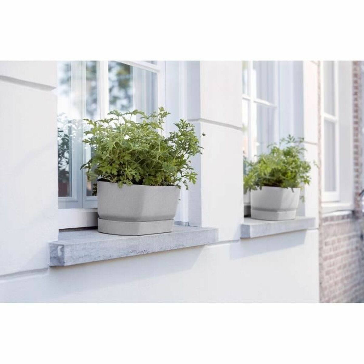 Vaso rettangolare da Balcone Elho   Grigio 70 cm Plastica Ovalada