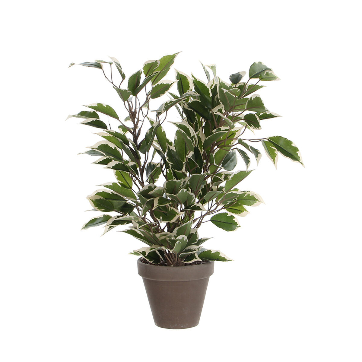 Pianta finta Mica Decorations 4 x 11,5 cm Ceramica PVC Ficus