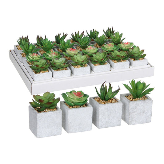 Pianta finta Mica Decorations 8 x 5 cm PVC Succulenta