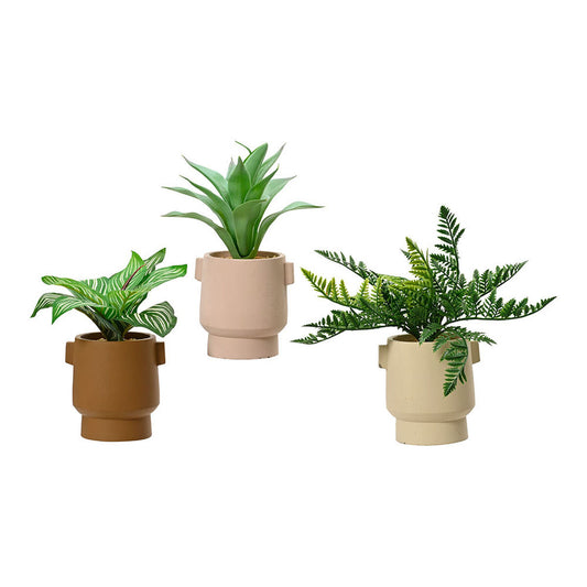 Pianta Decorativa EDM 808559 Vaso 25 cm