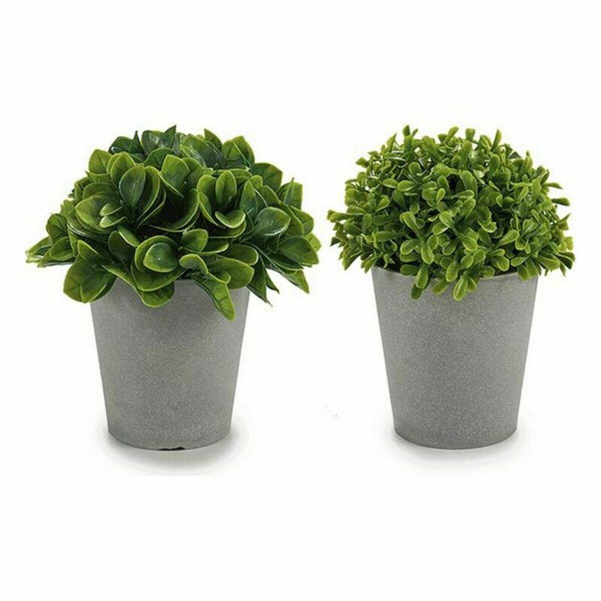 Pianta Decorativa Grigio Verde Plastica (13 x 17 x 13 cm) (12 Unità)