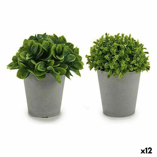 Pianta Decorativa Grigio Verde Plastica (13 x 17 x 13 cm) (12 Unità)