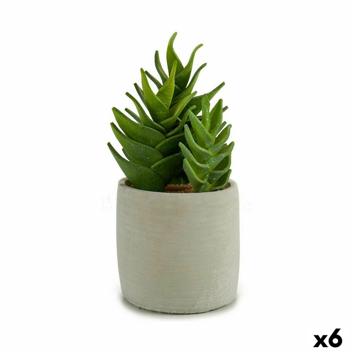 Pianta Decorativa Succulenta Plastica 12 x 24 x 12 cm (6 Unità)