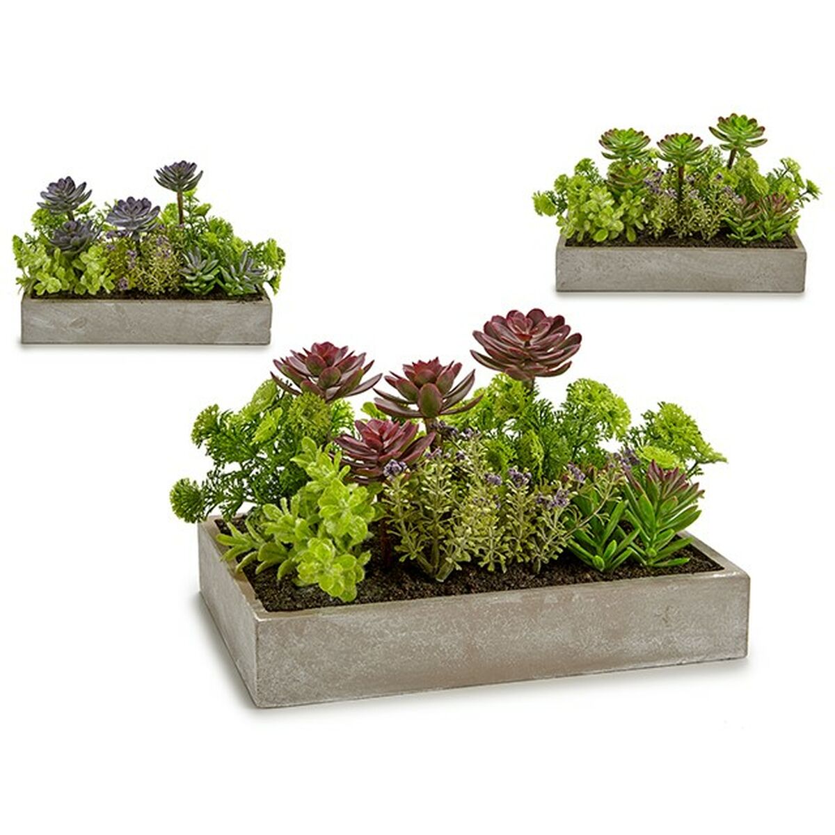 Pianta Decorativa Succulenta Plastica Cemento 16,5 x 20 x 28,5 cm (6 Unità)