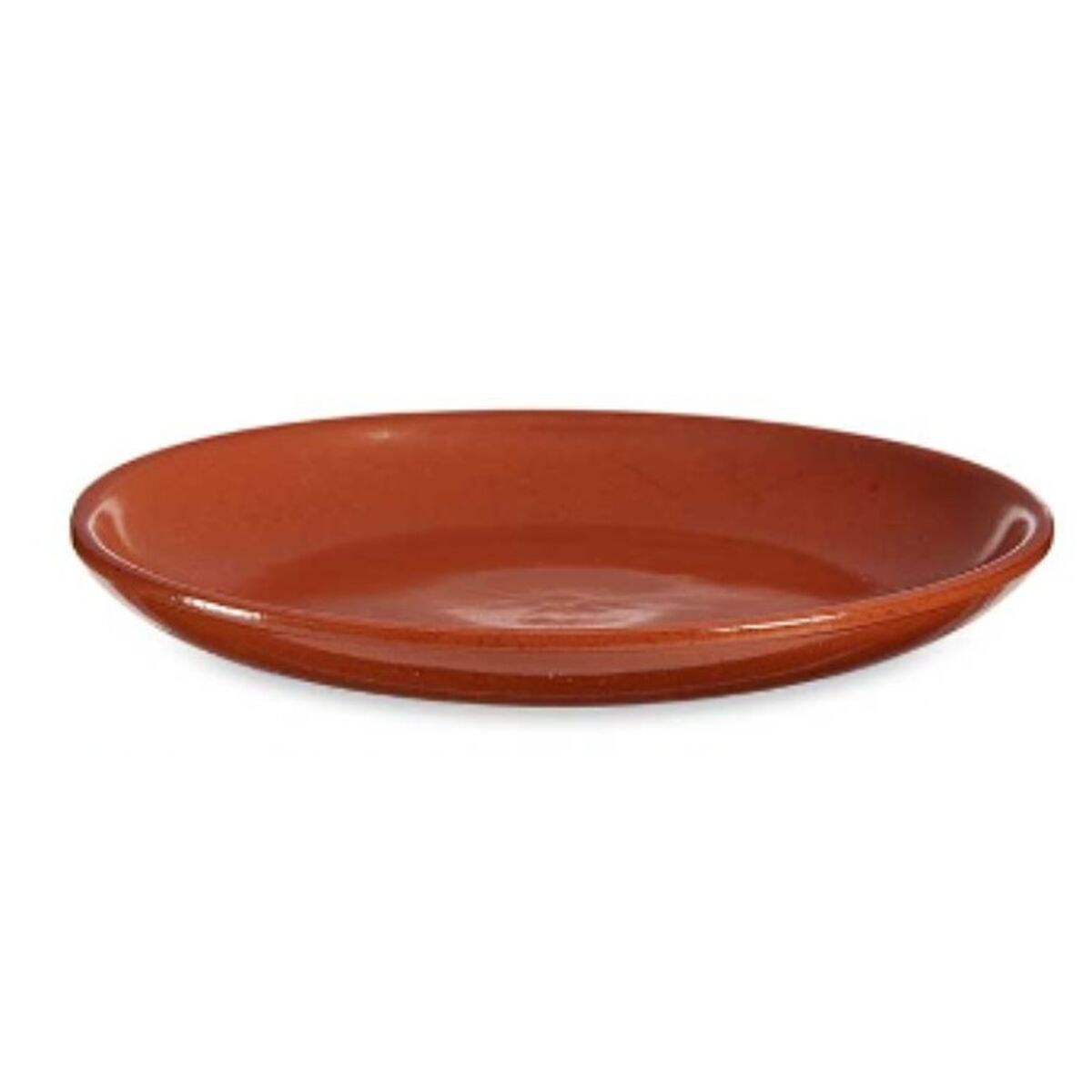 Piatto da pranzo Carne Argilla cotta 23 x 2 x 23 cm (10 Unità)