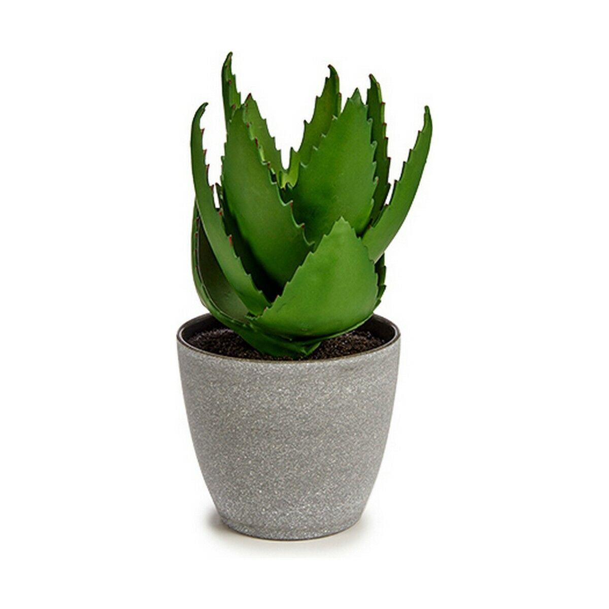 Pianta Decorativa Aloe Vera 15 x 23,5 x 15 cm Grigio Verde Plastica (6 Unità)