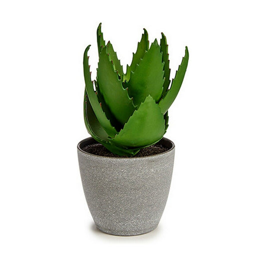 Pianta Decorativa Aloe Vera 15 x 23,5 x 15 cm Grigio Verde Plastica (6 Unità)