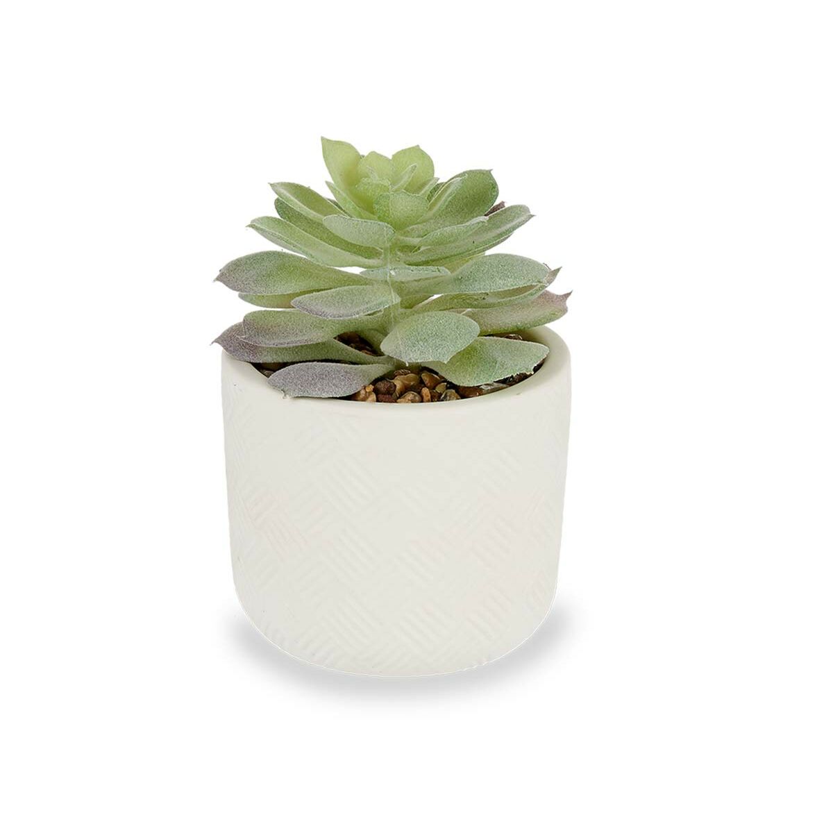 Pianta Decorativa Succulenta Plastica 14 x 13,5 x 14 cm (12 Unità)