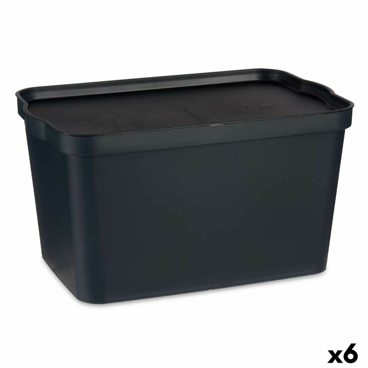 Scatola portaoggetti con coperchio Antracite Plastica 24 L 29,3 x 24,5 x 45 cm (6 Unità)